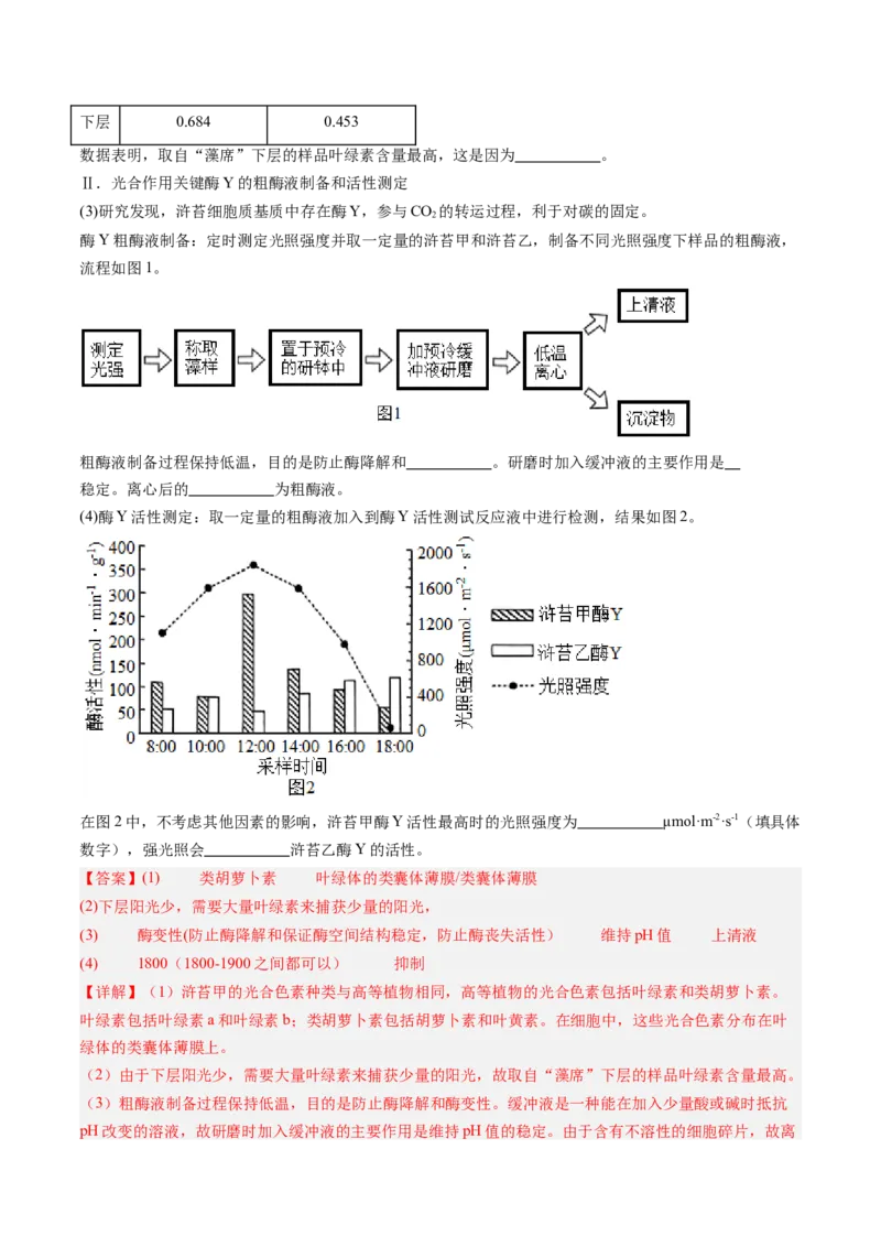 《第11讲光合作用（专项训练）（安徽专用）（解析版）_高考一二三轮复习_生物_2026年高考生物一轮_2026年高考生物一轮课件+讲义+练习（安徽专用）-G326》第5页预览