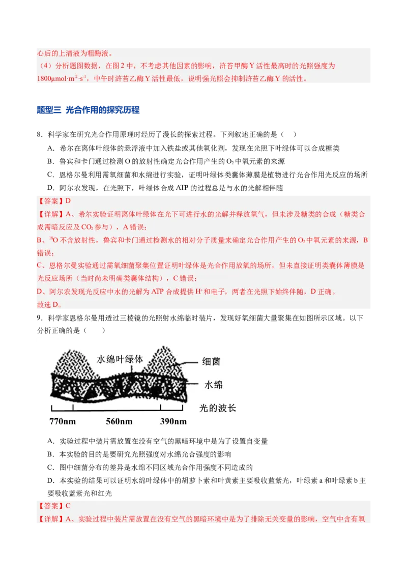 《第11讲光合作用（专项训练）（安徽专用）（解析版）_高考一二三轮复习_生物_2026年高考生物一轮_2026年高考生物一轮课件+讲义+练习（安徽专用）-G326》第6页预览