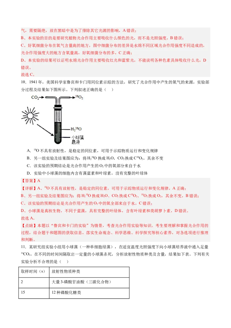 《第11讲光合作用（专项训练）（安徽专用）（解析版）_高考一二三轮复习_生物_2026年高考生物一轮_2026年高考生物一轮课件+讲义+练习（安徽专用）-G326》第7页预览