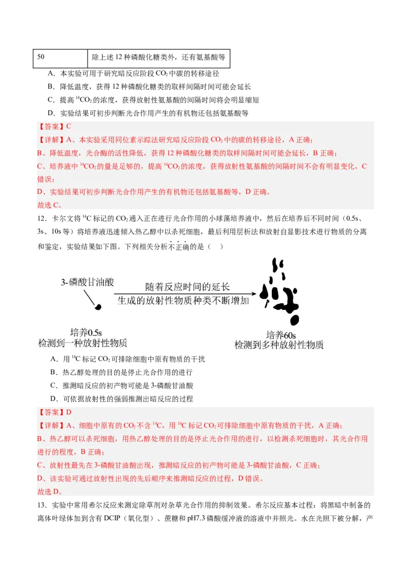 《第11讲光合作用（专项训练）（安徽专用）（解析版）_高考一二三轮复习_生物_2026年高考生物一轮_2026年高考生物一轮课件+讲义+练习（安徽专用）-G326》第8页预览