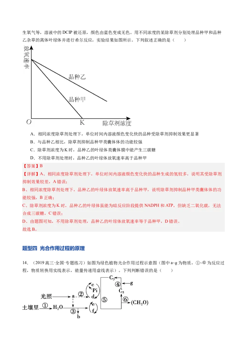 《第11讲光合作用（专项训练）（安徽专用）（解析版）_高考一二三轮复习_生物_2026年高考生物一轮_2026年高考生物一轮课件+讲义+练习（安徽专用）-G326》第9页预览