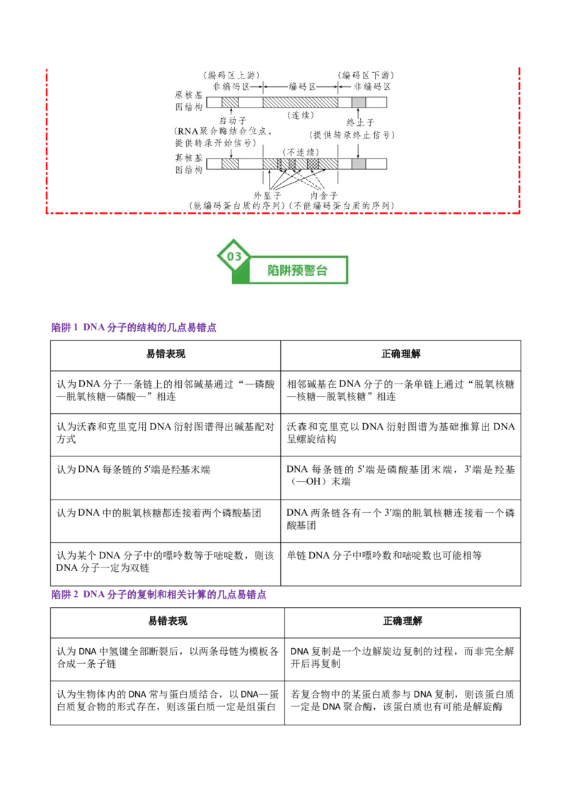 《第20讲DNA分子的结构、复制与基因的本质（知识清单）（全国通用）（教师版）_高考一二三轮复习_生物_2026年高考生物一轮_2026年高考生物一轮复习知识清单（全国通用）-G56_2026版》第10页预览