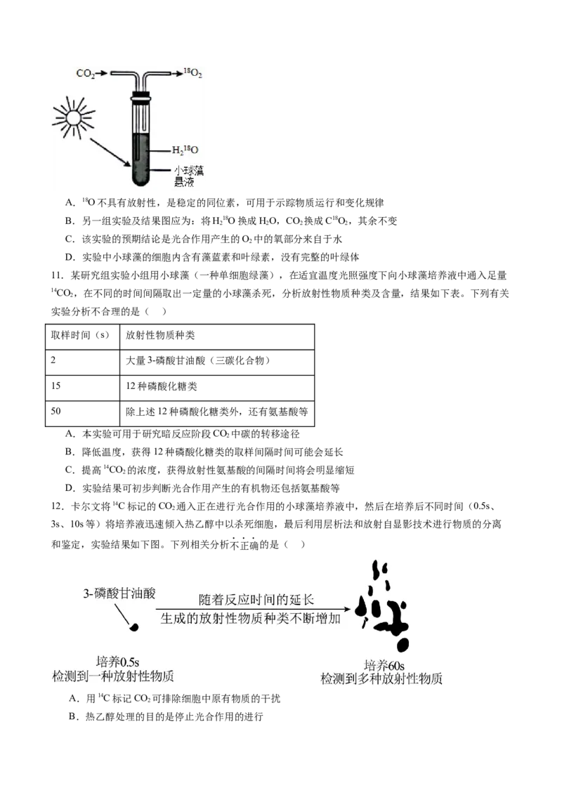 《第11讲光合作用（专项训练）（安徽专用）（原卷版）_高考一二三轮复习_生物_2026年高考生物一轮_2026年高考生物一轮课件+讲义+练习（安徽专用）-G326》第5页预览