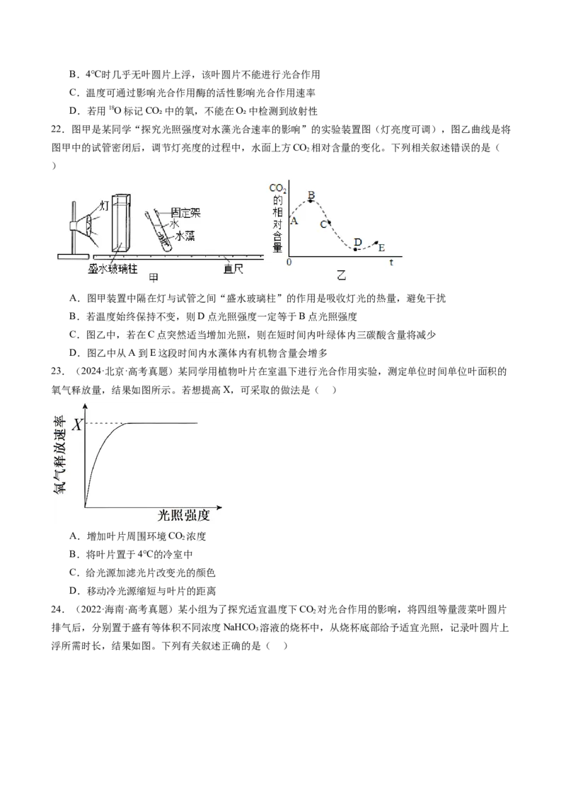 《第11讲光合作用（专项训练）（安徽专用）（原卷版）_高考一二三轮复习_生物_2026年高考生物一轮_2026年高考生物一轮课件+讲义+练习（安徽专用）-G326》第9页预览
