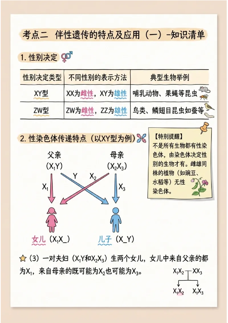 《第17讲伴性遗传和人类遗传病(图文版知识清单)_高考一二三轮复习_生物_2027年高考生物一轮_2027年高考生物一轮复习知识清单(全国通用)-G56_2027版》第3页预览
