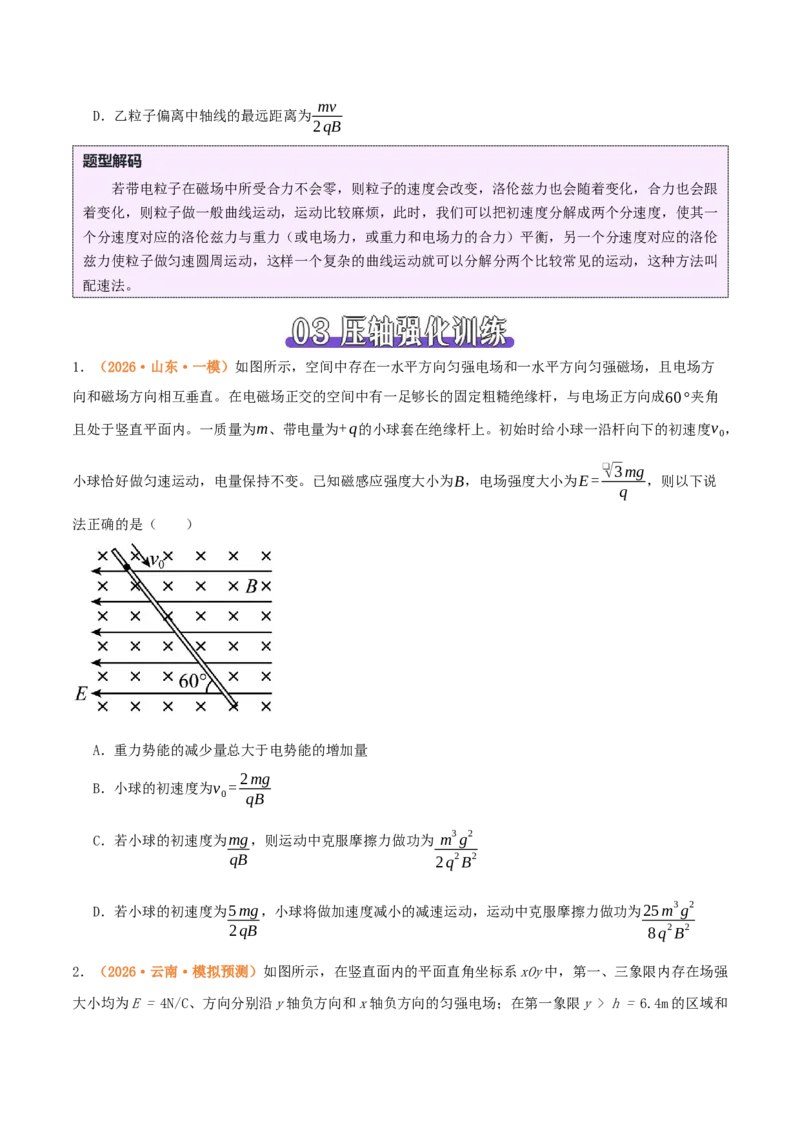 《压轴10带电粒子在叠加场中的运动（压轴题专练）（全国通用）（原卷版）_高考一二三轮复习_物理_2026年-物理高考专项复习_2026年高考物理终极冲刺讲练测（全国通用）-G459_2026版》第5页预览