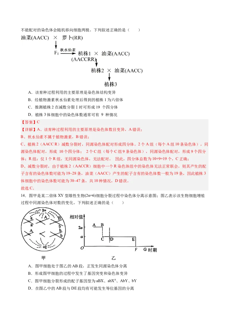 《第20讲生物的变异（专项训练)（黑吉辽蒙专用）（教师版）_高考一二三轮复习_生物_2026年高考生物一轮_2026年高考生物一轮课件+讲义+练习（黑吉辽蒙专用）-G330》第8页预览