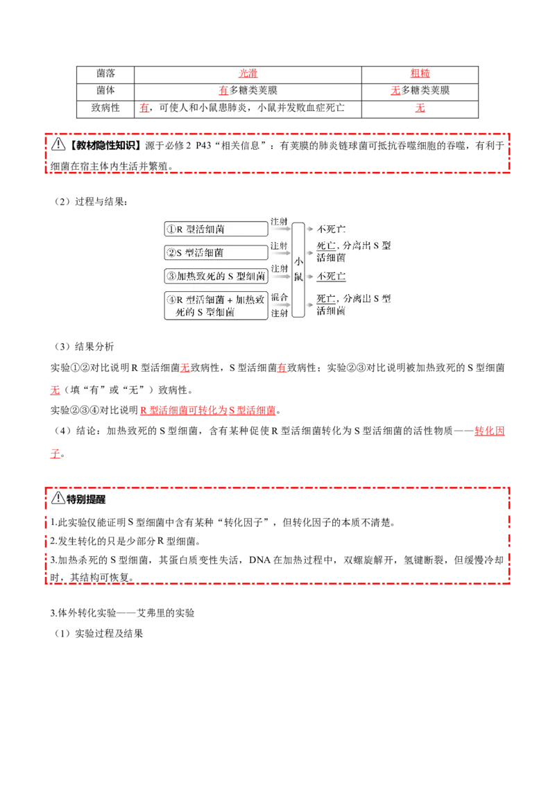 《第19讲DNA是主要的遗传物质（知识清单）（全国通用）（教师版）_高考一二三轮复习_生物_2026年高考生物一轮_2026年高考生物一轮复习讲义+练习+课件（新教材新高考）-G55_2026版》第3页预览