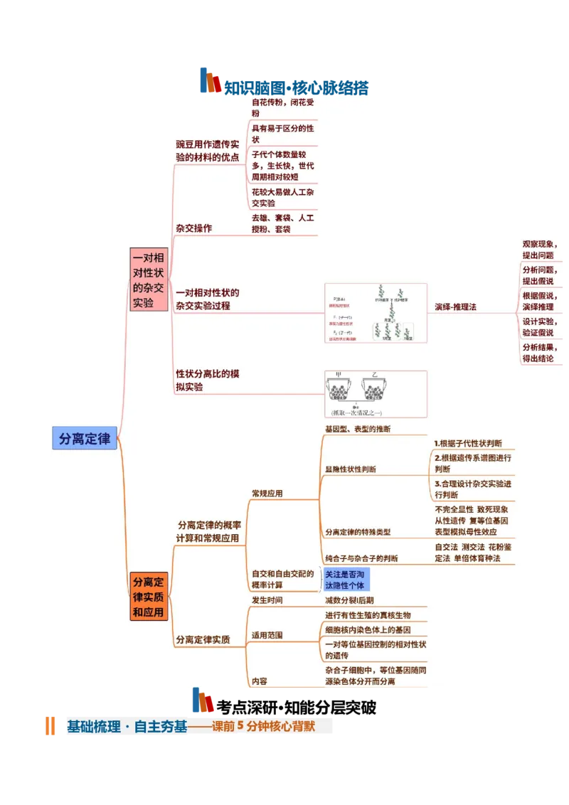 《第15讲分离定律（知识清单）（全国通用）（教师版）_高考一二三轮复习_生物_2027年高考生物一轮_2027年高考生物一轮复习讲义+练习+课件（新教材新高考）-G55_2027版》第2页预览