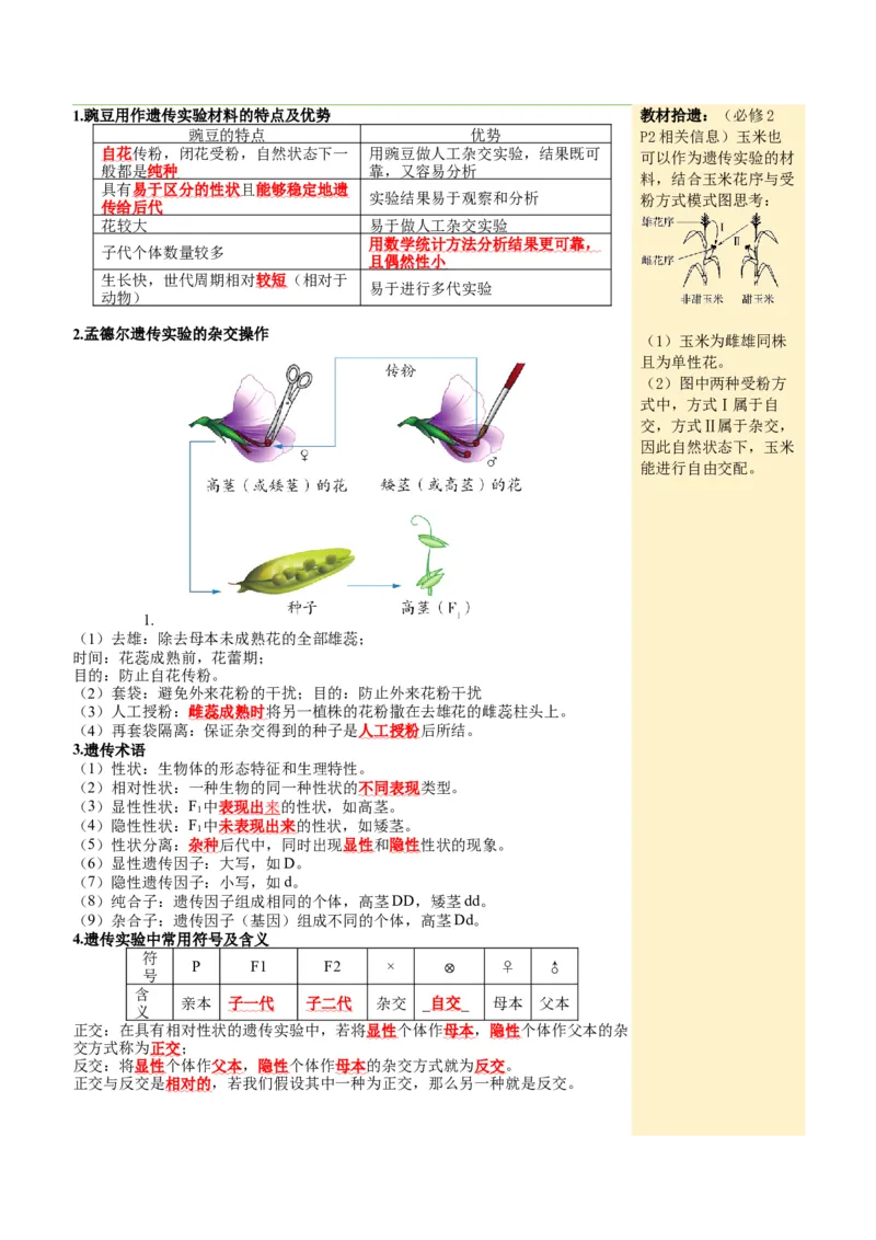 《第15讲分离定律（知识清单）（全国通用）（教师版）_高考一二三轮复习_生物_2027年高考生物一轮_2027年高考生物一轮复习讲义+练习+课件（新教材新高考）-G55_2027版》第4页预览