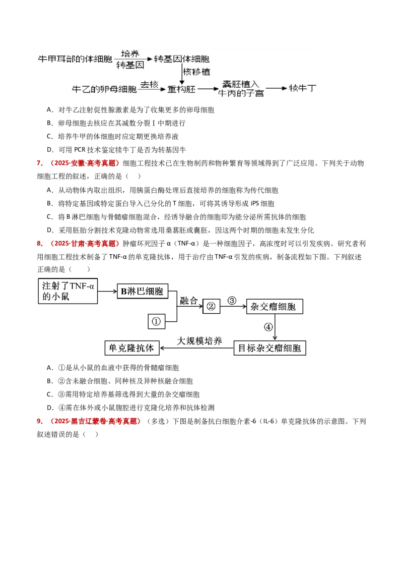 《专题21细胞工程与胚胎工程（全国通用）（学生版）_高考一二三轮复习_生物_2026年-生物高考专项复习_五年（2021-2025）高考生物真题分类汇编（全国通用）-C438》第3页预览