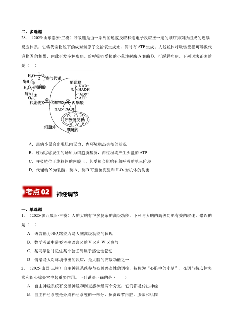《专题08内环境稳态和神经调节（学生版）_高考一二三轮复习_生物_2026年-生物高考专项复习_2025年高考生物三模试题分类汇编（新高考通用）_2025版》第8页预览