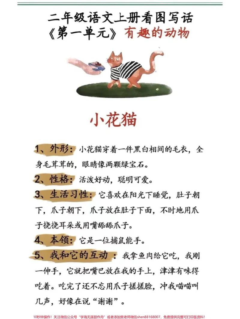 《二年级上册同步作文有趣的动物。#二年级上册语文#作文#范文#必考考点#学习必考知识分享@qunju888.com小助手@qunju888.com创作者中心@qunju888.com热点宝》第1页预览
