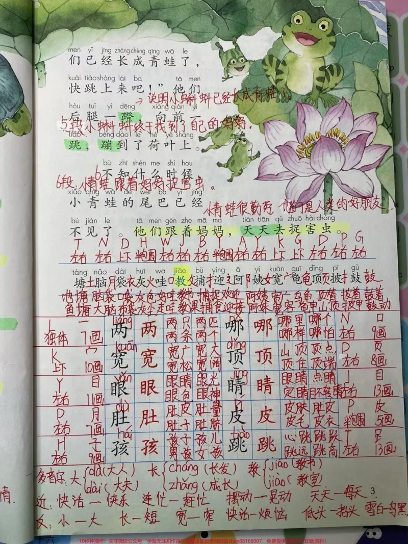 《二年级上册语文《第一单元》详细笔记》第3页预览