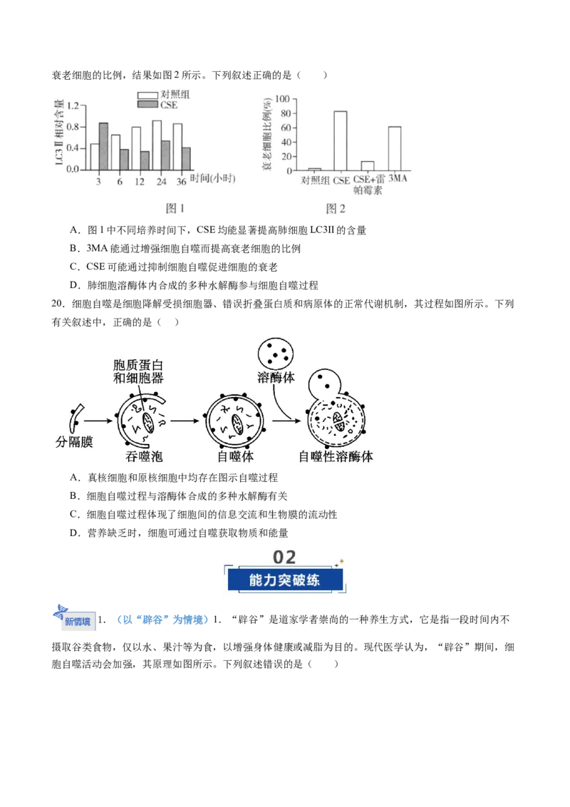 《第14讲细胞的分化、衰老和死亡（专项训练）（学生版）_高考一二三轮复习_生物_2026年高考生物一轮_2026年高考生物一轮课件+讲义+练习（湖南专用）-G331》第7页预览