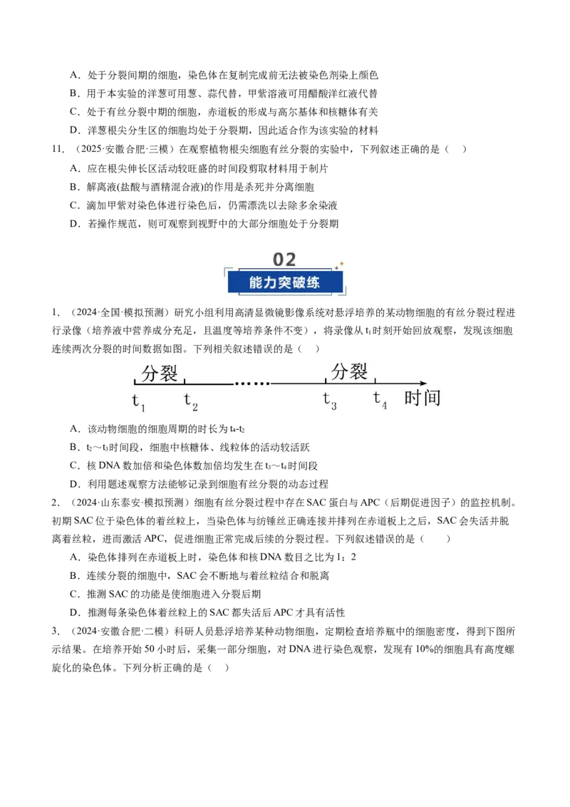 《第13讲细胞的增殖（专项训练）（安徽专用）（学生版）_高考一二三轮复习_生物_2026年高考生物一轮_2026年高考生物一轮课件+讲义+练习（安徽专用）-G326》第5页预览