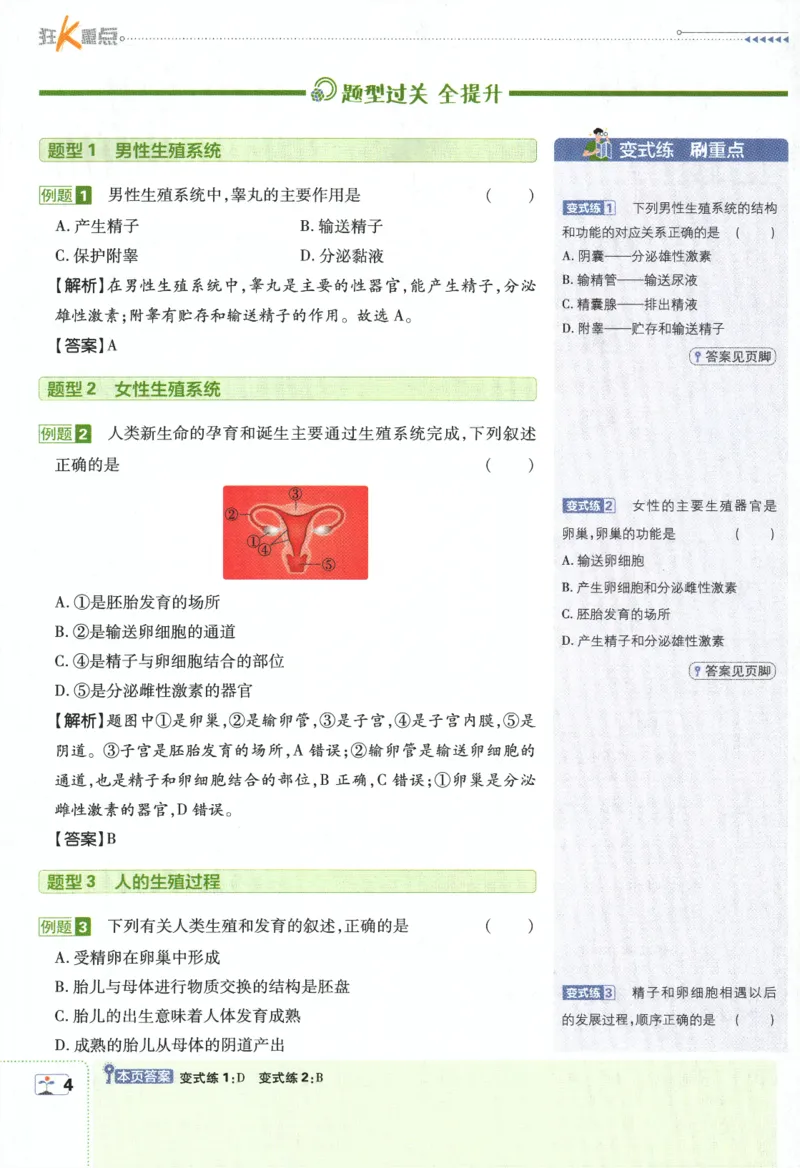 《2024版《初中必刷题》生物7下（RJ）-狂K重点_初中全科知识点总结和试卷_赠送习题试卷_初中3年学习辅助资料_2、2025初中必刷题合集_初中必刷题23+24+25上册_24初中必刷题上册+下册全》第8页预览
