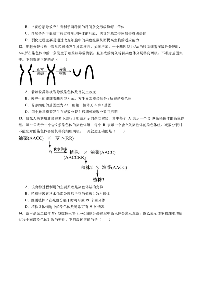 《第20讲生物的变异（专项训练)（黑吉辽蒙专用）（学生版）_高考一二三轮复习_生物_2026年高考生物一轮_2026年高考生物一轮课件+讲义+练习（黑吉辽蒙专用）-G330》第4页预览