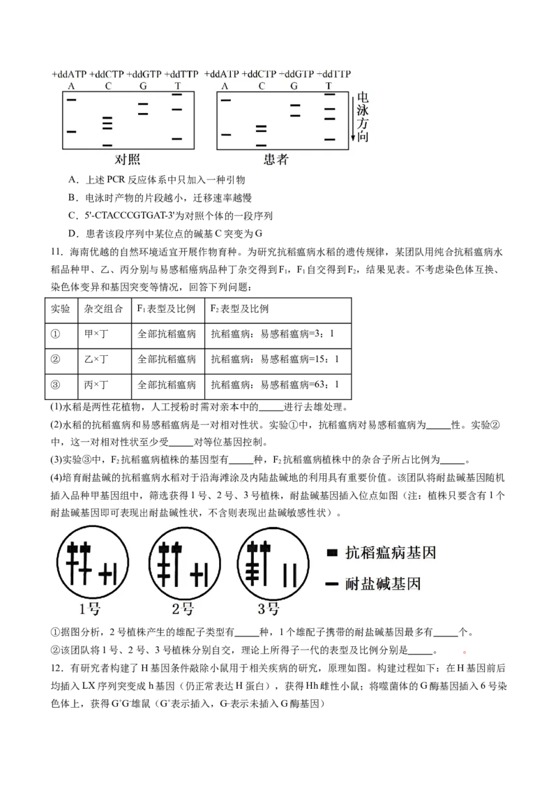 《第20讲生物的变异（专项训练)（黑吉辽蒙专用）（学生版）_高考一二三轮复习_生物_2026年高考生物一轮_2026年高考生物一轮课件+讲义+练习（黑吉辽蒙专用）-G330》第9页预览