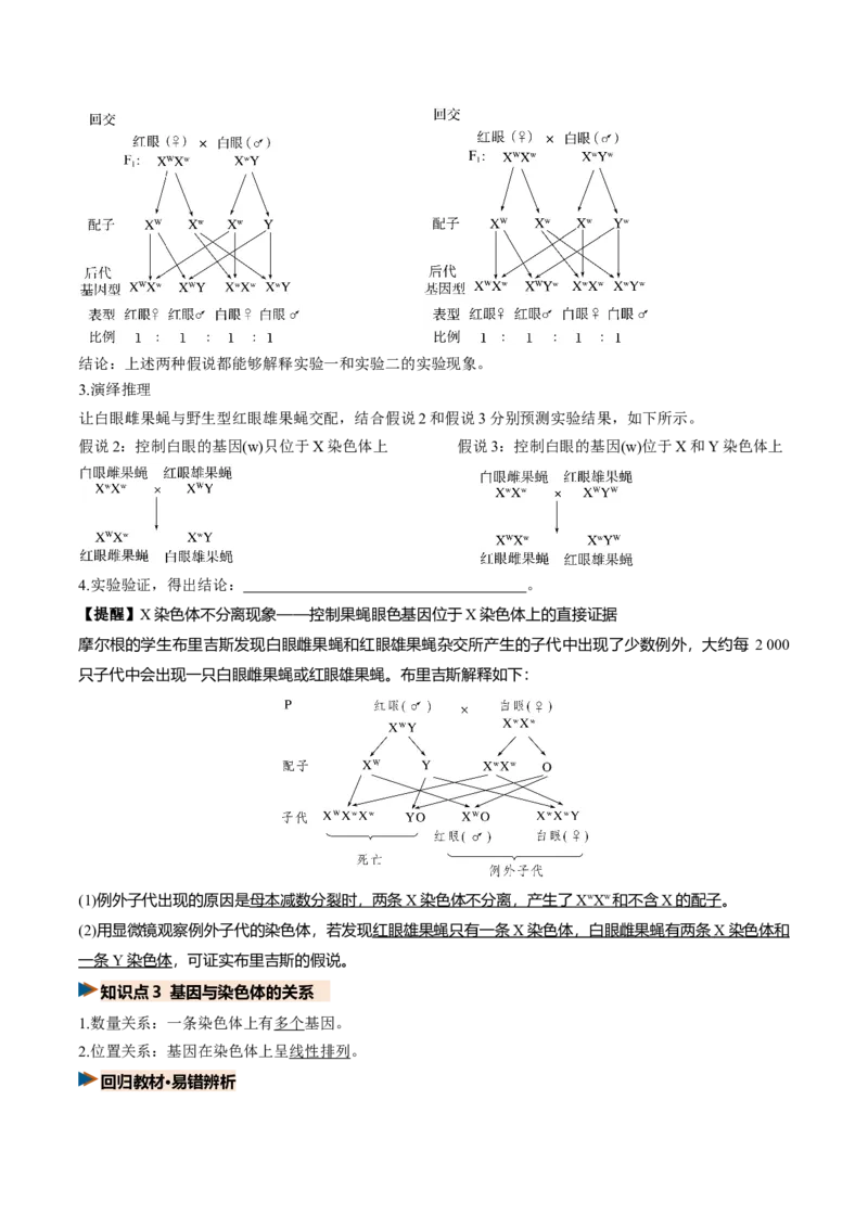 《第17讲伴性遗传和人类遗传病（复习讲义）（全国通用）（学生版）_高考一二三轮复习_生物_2027年高考生物一轮_2027年高考生物一轮复习讲义+练习+课件（新教材新高考）-G55_2027版》第6页预览