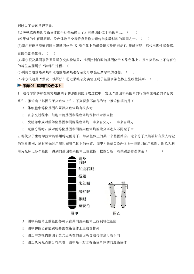 《第17讲伴性遗传和人类遗传病（复习讲义）（全国通用）（学生版）_高考一二三轮复习_生物_2027年高考生物一轮_2027年高考生物一轮复习讲义+练习+课件（新教材新高考）-G55_2027版》第7页预览