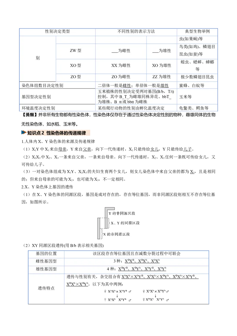 《第17讲伴性遗传和人类遗传病（复习讲义）（全国通用）（学生版）_高考一二三轮复习_生物_2027年高考生物一轮_2027年高考生物一轮复习讲义+练习+课件（新教材新高考）-G55_2027版》第9页预览