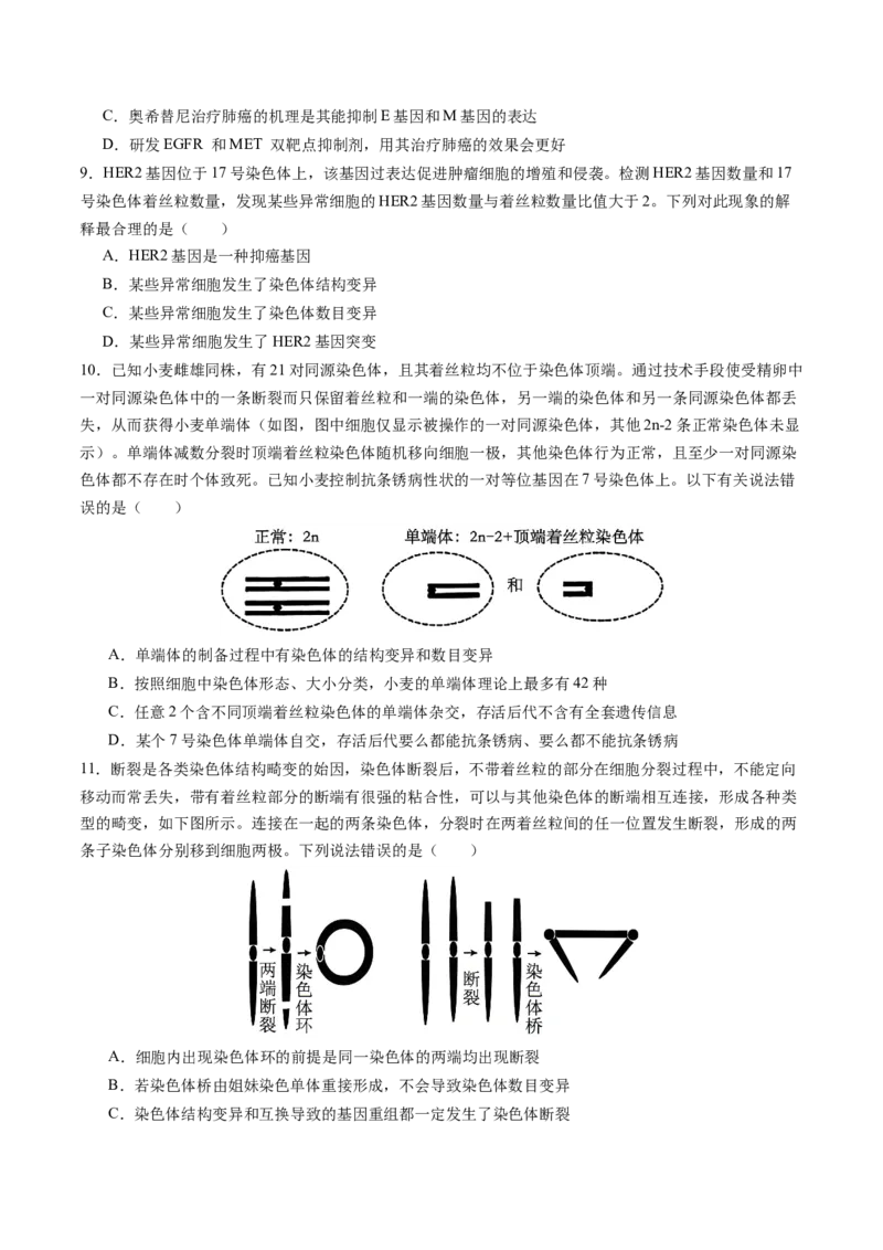 《第23讲生物的变异（专项训练）（安徽专用）（学生版）_高考一二三轮复习_生物_2026年高考生物一轮_2026年高考生物一轮课件+讲义+练习（安徽专用）-G326》第4页预览