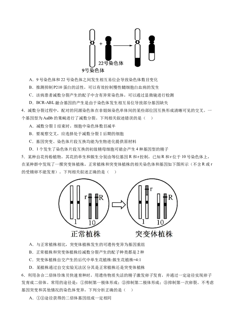 《第23讲生物的变异（专项训练）（安徽专用）（学生版）_高考一二三轮复习_生物_2026年高考生物一轮_2026年高考生物一轮课件+讲义+练习（安徽专用）-G326》第6页预览