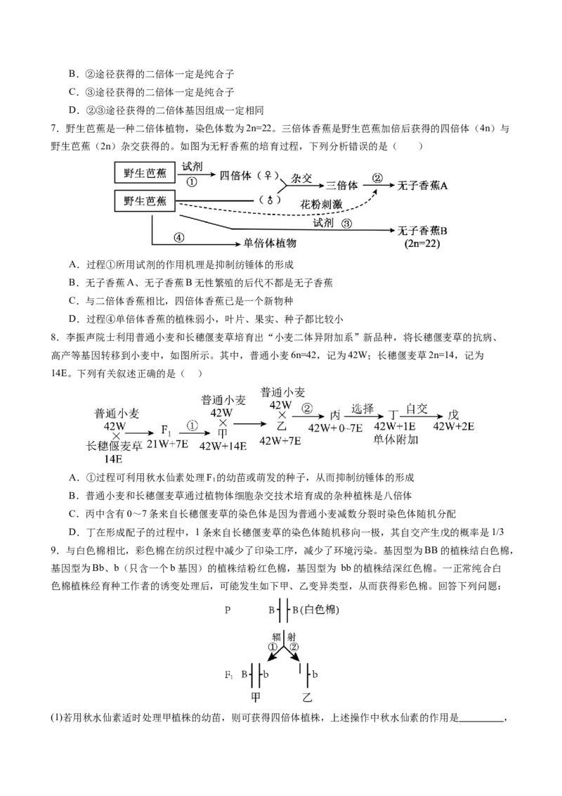 《第23讲生物的变异（专项训练）（安徽专用）（学生版）_高考一二三轮复习_生物_2026年高考生物一轮_2026年高考生物一轮课件+讲义+练习（安徽专用）-G326》第7页预览