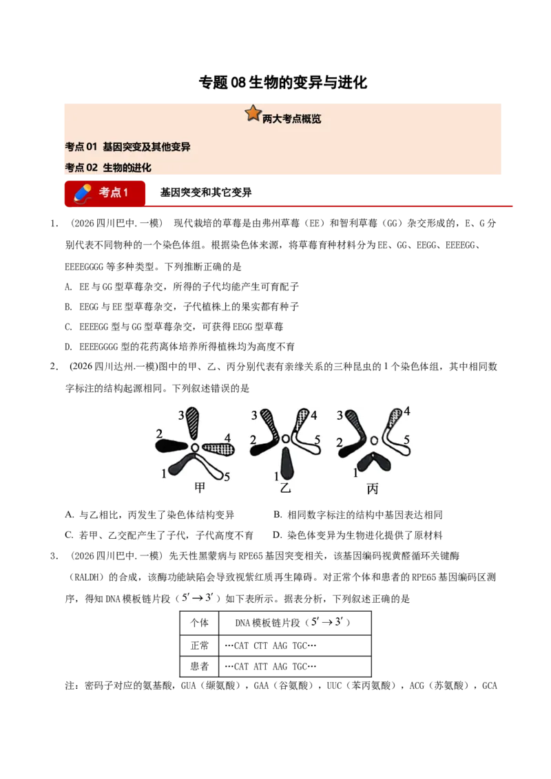 《专题08生物的变异与进化（学生版）(1)_高考一二三轮复习_生物_2027年高考生物专项_2026年高考生物一模试题分类汇编（四川专用）-G175_2026版》第1页预览