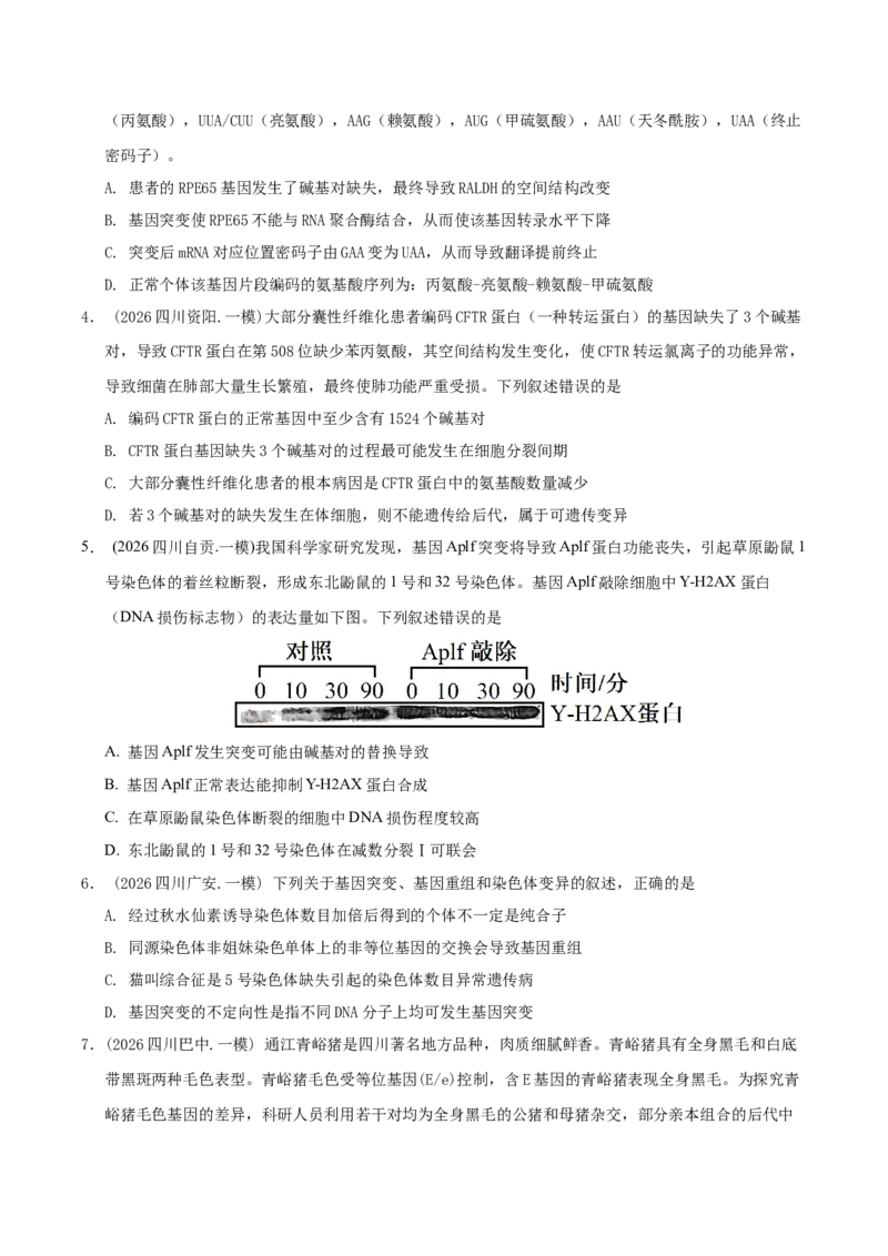 《专题08生物的变异与进化（学生版）(1)_高考一二三轮复习_生物_2027年高考生物专项_2026年高考生物一模试题分类汇编（四川专用）-G175_2026版》第2页预览