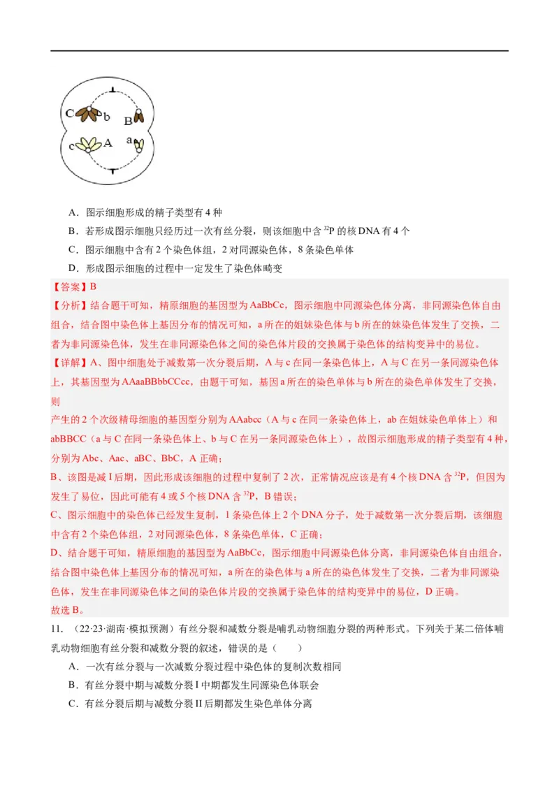 《专题03细胞的生命历程（分层练）（解析版）_初高中资料库_高中资料库（转存避免链接过期失效）_高中生物》第6页预览