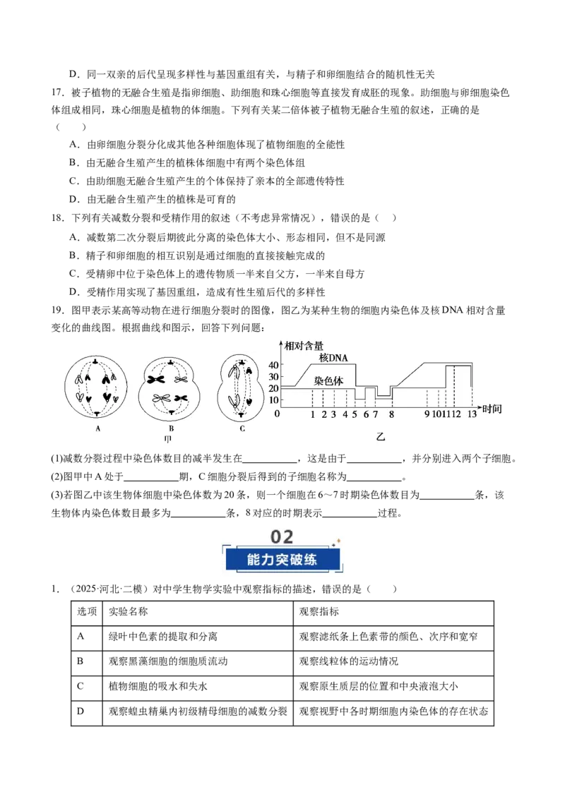 《第13讲减数分裂和受精作用（专项训练）（四川专用）（学生版）_高考一二三轮复习_生物_2026年高考生物一轮_2026年高考生物一轮课件+讲义+练习（四川专用）-G335》第6页预览