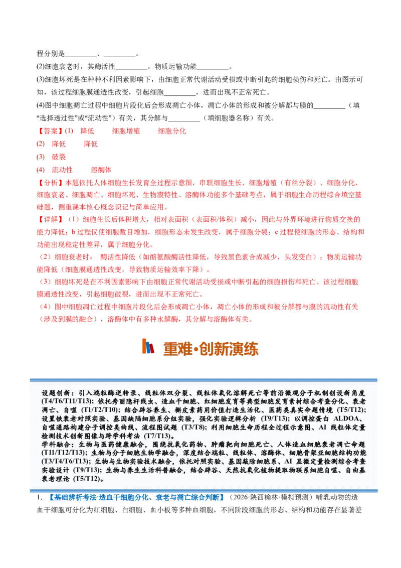 《第14讲细胞的分化、衰老和死亡（专项训练）（全国通用）（教师版）_高考一二三轮复习_生物_2027年高考生物一轮_2027年高考生物一轮复习讲义+练习+课件（新教材新高考）-G55_2027版》第9页预览