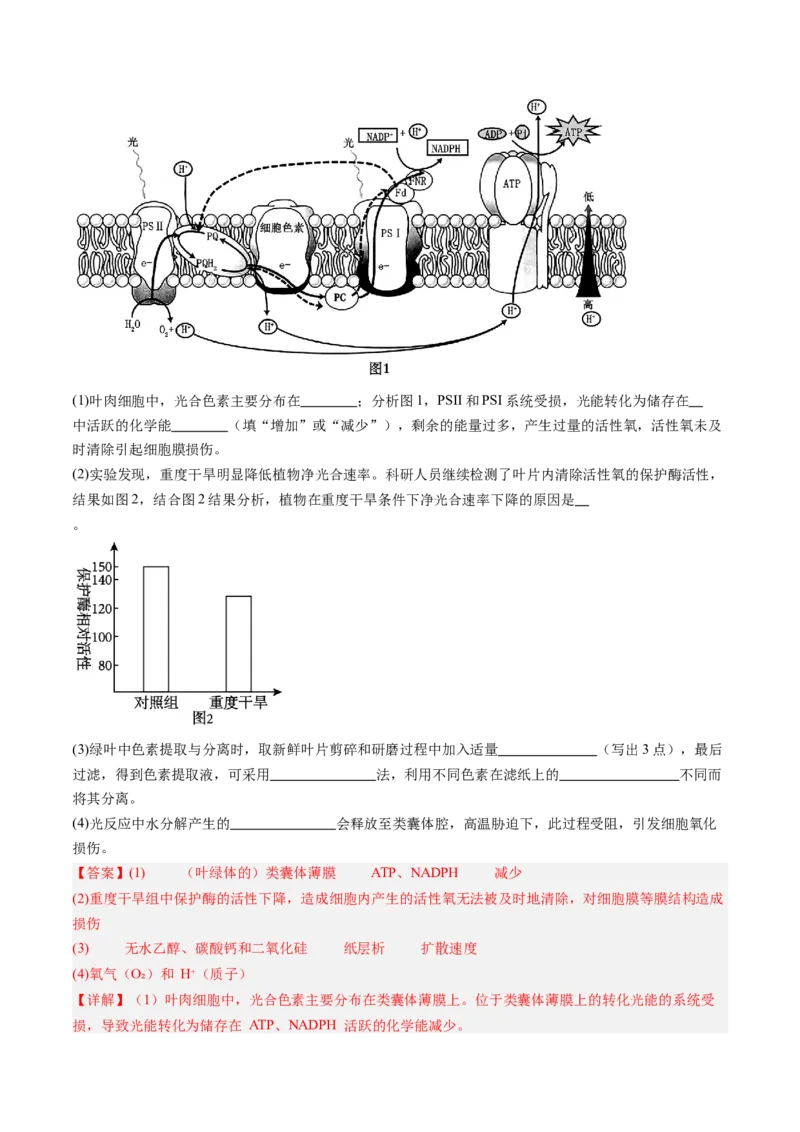 《第10讲细胞呼吸（专项训练）（安徽专用）（教师版）_高考一二三轮复习_生物_2026年高考生物一轮_2026年高考生物一轮课件+讲义+练习（安徽专用）-G326》第10页预览