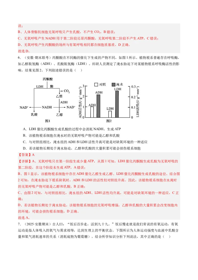 《第10讲细胞呼吸（专项训练）（安徽专用）（教师版）_高考一二三轮复习_生物_2026年高考生物一轮_2026年高考生物一轮课件+讲义+练习（安徽专用）-G326》第4页预览