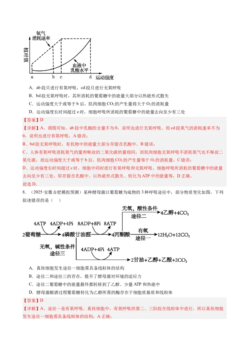 《第10讲细胞呼吸（专项训练）（安徽专用）（教师版）_高考一二三轮复习_生物_2026年高考生物一轮_2026年高考生物一轮课件+讲义+练习（安徽专用）-G326》第5页预览