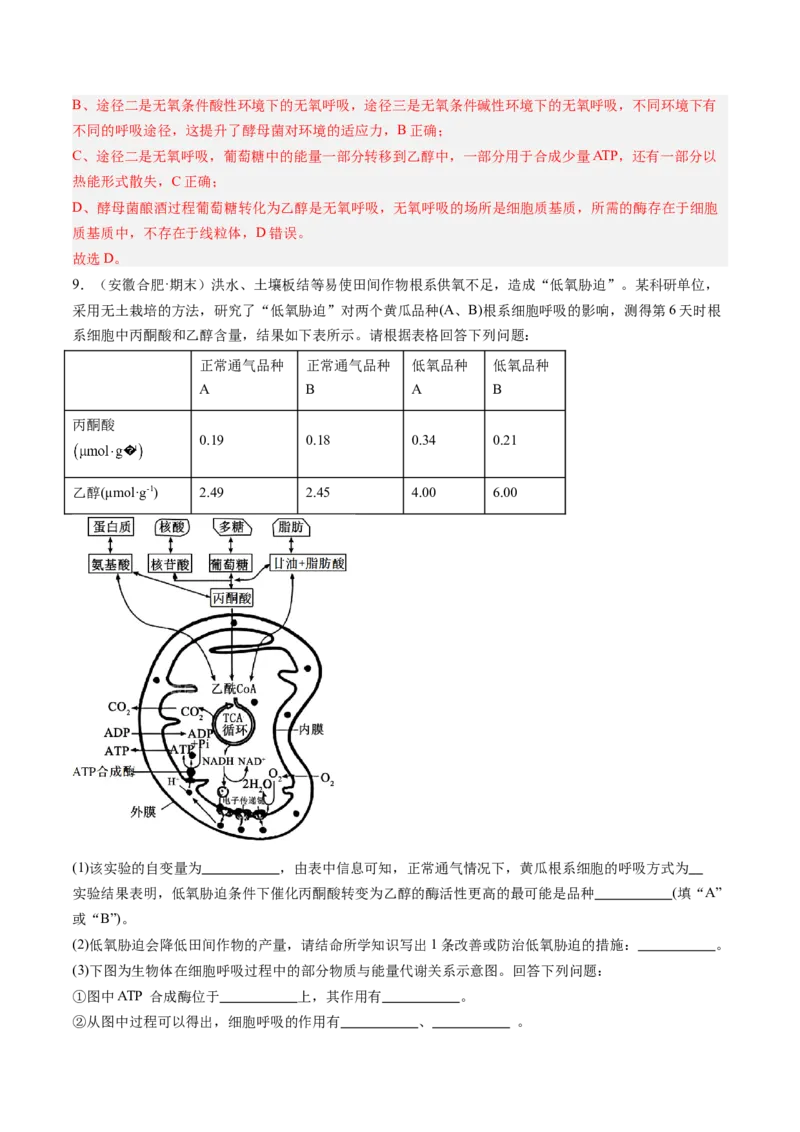 《第10讲细胞呼吸（专项训练）（安徽专用）（教师版）_高考一二三轮复习_生物_2026年高考生物一轮_2026年高考生物一轮课件+讲义+练习（安徽专用）-G326》第6页预览