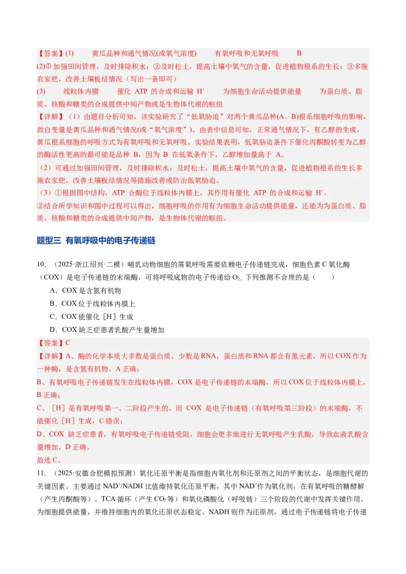 《第10讲细胞呼吸（专项训练）（安徽专用）（教师版）_高考一二三轮复习_生物_2026年高考生物一轮_2026年高考生物一轮课件+讲义+练习（安徽专用）-G326》第7页预览