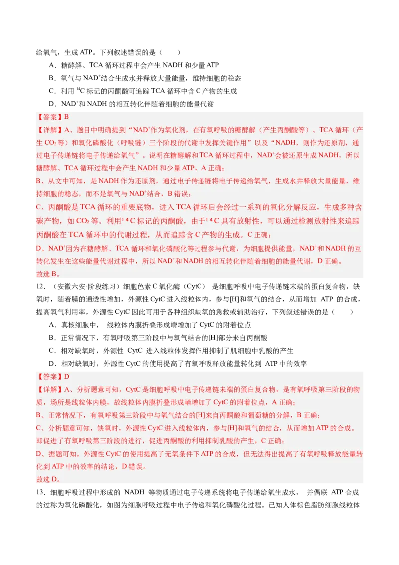 《第10讲细胞呼吸（专项训练）（安徽专用）（教师版）_高考一二三轮复习_生物_2026年高考生物一轮_2026年高考生物一轮课件+讲义+练习（安徽专用）-G326》第8页预览