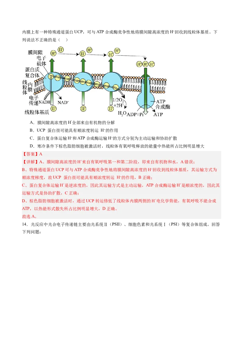 《第10讲细胞呼吸（专项训练）（安徽专用）（教师版）_高考一二三轮复习_生物_2026年高考生物一轮_2026年高考生物一轮课件+讲义+练习（安徽专用）-G326》第9页预览