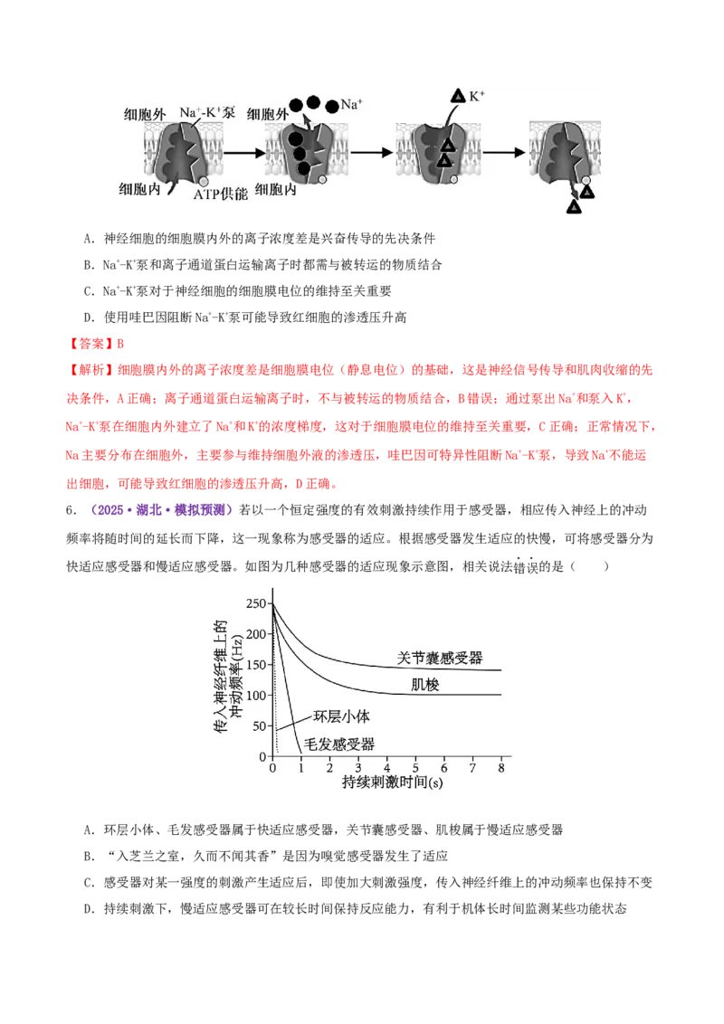 《专题09内环境稳态和神经调节（教师版）_高考一二三轮复习_生物_2026年-生物高考专项复习_2025年高考生物一模试题分类汇编（湖北专用）》第9页预览