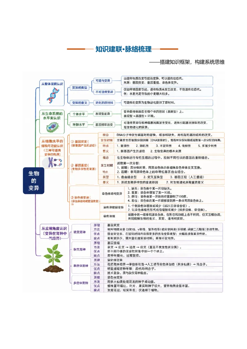 《第22讲生物的变异（复习讲义）（全国通用）（教师版）_高考一二三轮复习_生物_2027年高考生物一轮_2027年高考生物一轮复习讲义+练习+课件（新教材新高考）-G55_2027版》第4页预览