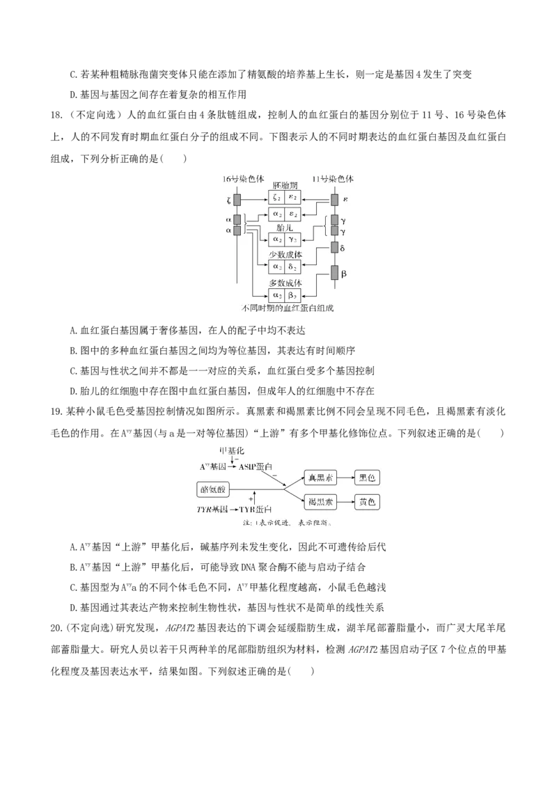 《第21讲基因的表达、基因与性状的关系（专项训练）（湖南专用）（学生版）_高考一二三轮复习_生物_2026年高考生物一轮_2026年高考生物一轮课件+讲义+练习（湖南专用）-G331》第6页预览