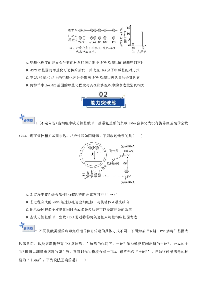 《第21讲基因的表达、基因与性状的关系（专项训练）（湖南专用）（学生版）_高考一二三轮复习_生物_2026年高考生物一轮_2026年高考生物一轮课件+讲义+练习（湖南专用）-G331》第7页预览