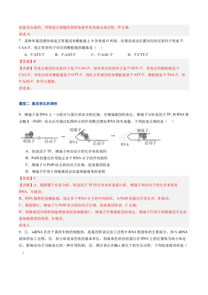 《第22讲基因的表达（专项训练）（福建专用）（教师版）_高考一二三轮复习_生物_2026年高考生物一轮_2026年高考生物一轮课件+讲义+练习（福建专用）-G328》第5页预览
