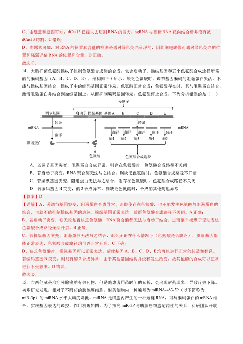《第22讲基因的表达（专项训练）（福建专用）（教师版）_高考一二三轮复习_生物_2026年高考生物一轮_2026年高考生物一轮课件+讲义+练习（福建专用）-G328》第9页预览