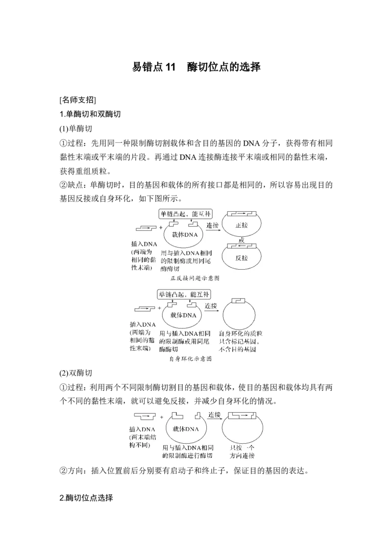 《易错点11酶切位点的选择(1)_2026版高中《二三轮复习+冲刺复习》_高考生物生物二轮2026届高考生物步步高大二轮专题复习教师用书(word版)+教师用书配套PPT+题库(word版)(完整版)》第1页预览