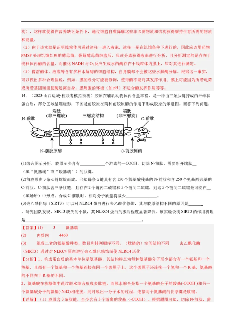 《专题01细胞的分子组成、结构和物质运输（分层练）（解析版）_初高中资料库_高中资料库（转存避免链接过期失效）_高中生物》第10页预览