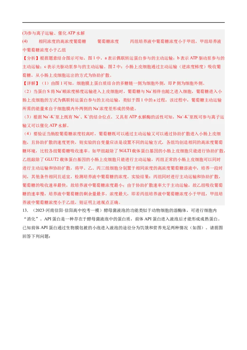 《专题01细胞的分子组成、结构和物质运输（分层练）（解析版）_初高中资料库_高中资料库（转存避免链接过期失效）_高中生物》第8页预览